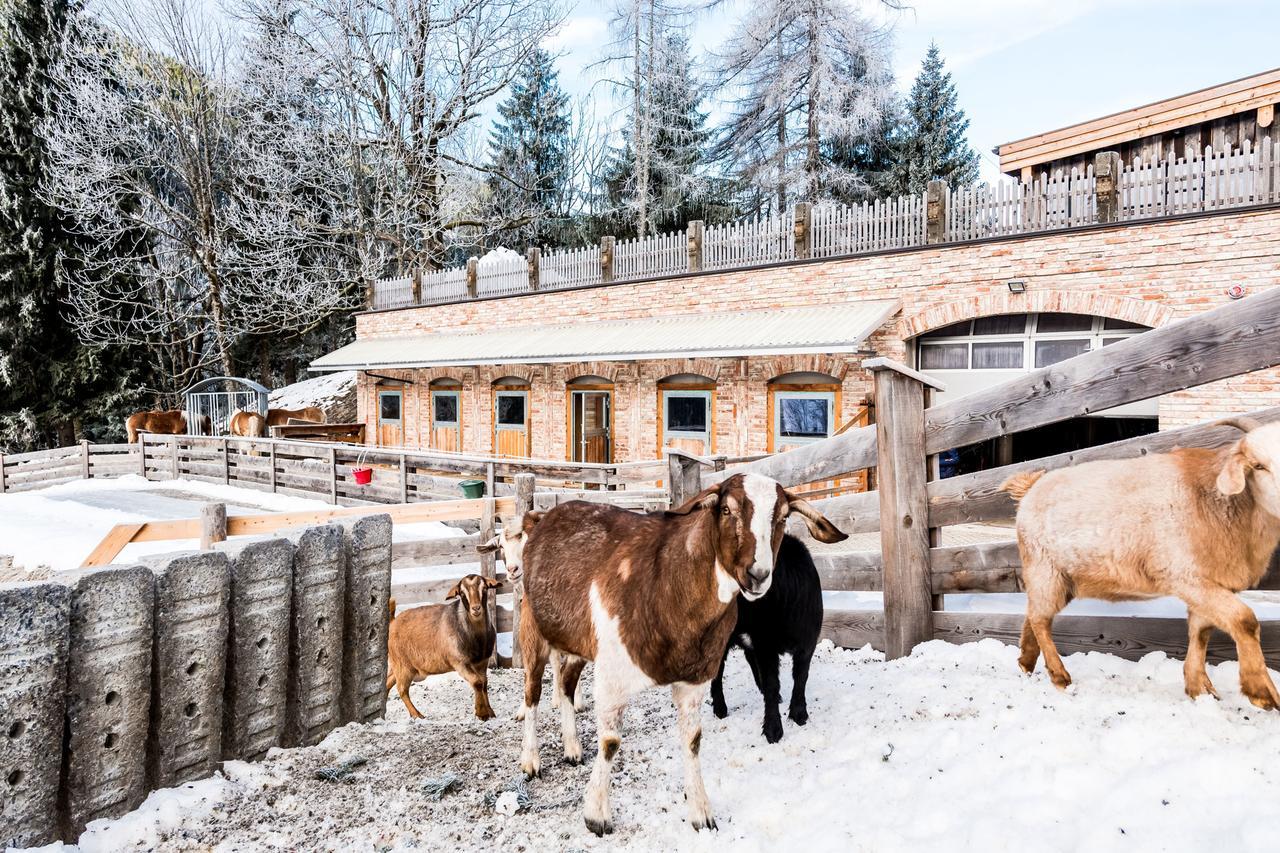 Peakini Farmhaus Villa อุนเทอร์เทาเอิร์น ภายนอก รูปภาพ