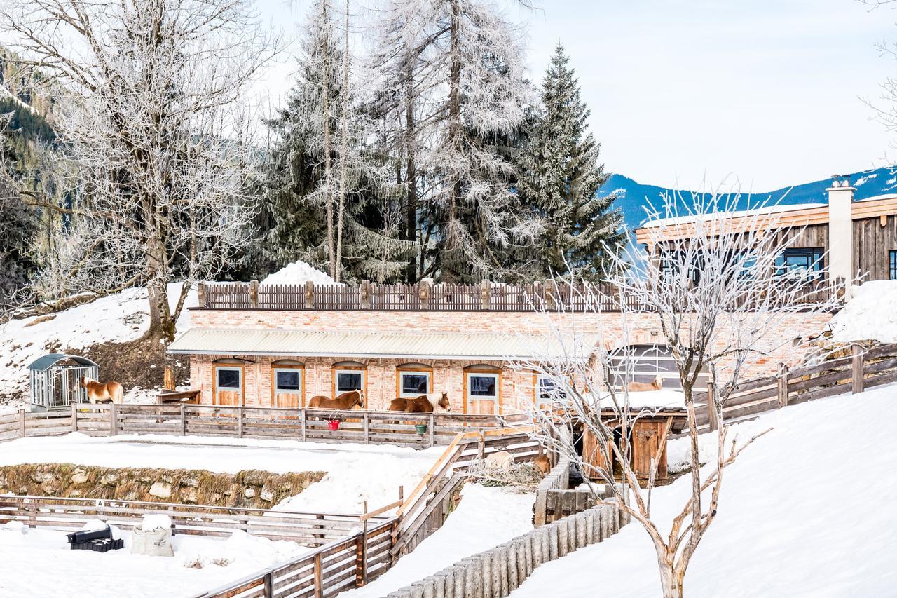 Peakini Farmhaus Villa อุนเทอร์เทาเอิร์น ภายนอก รูปภาพ